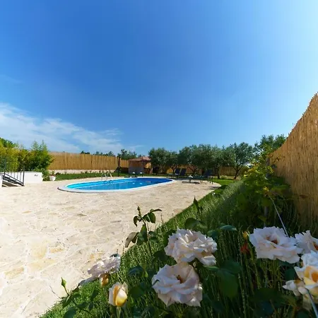 Villa Three Bedroom Holiday Surrounded With Olive Trees - Ae1182 *
